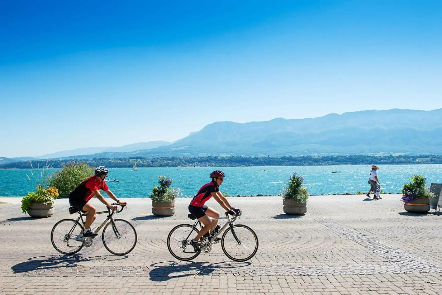 Entre Lacs Et Montagnes Logement Classe 3 Etoiles Albens